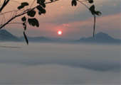 Cannot see the wood for tree: พิษณุโลก 4 วัน 3 คืน