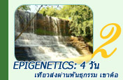 Epigenetics: เที่ยวส่งผ่านพันธุกรรม เขาค้อ ....4 วัน 3 คืน
