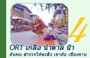 ORT เกลือ น้ำตาล น้ำ ค้นพบ สำรวจให้ตะลึง เขาค้อ เชียงคาน 3 วัน 2 คืน