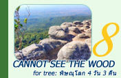 Cannot see the wood for tree: พิษณุโลก 4 วัน 3 คืน