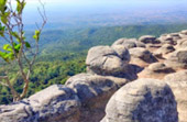 Cannot see the wood for tree: พิษณุโลก 4 วัน 3 คืน