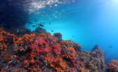 Gorgeous Route: ทะเลพม่า ทัวร์วันเดียว
