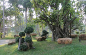 เกาะหัวใจ เกาซาลิ ทะเลพม่าจริง ๆ : 3 วัน 2 คืน