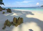 Surprices Gorgeous  เต็มวัน เกาะนาวโอพี