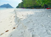Surprices Gorgeous  เต็มวัน เกาะนาวโอพี