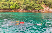 Surprices Gorgeous  เต็มวัน เกาะนาวโอพี
