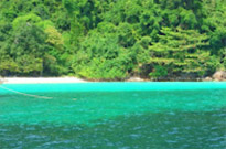 Surprices Gorgeous  เต็มวัน เกาะนาวโอพี