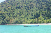 Surprices Gorgeous  เต็มวัน เกาะนาวโอพี