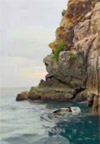 Surprices Gorgeous  เต็มวัน เกาะนาวโอพี