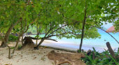 Scenario Islands เกาะนาวโอพี เกาะหัวใจมรกต