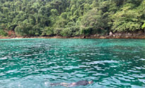 Scenario Islands เกาะนาวโอพี เกาะหัวใจมรกต
