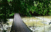 Thai Islands เกาะสุรินทร์ ระนอง ทะเลไทย 3 วัน 2 คืน