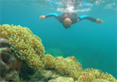 Thai Islands เกาะสุรินทร์ ระนอง ทะเลไทย 3 วัน 2 คืน