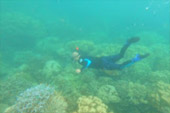 Thai Islands เกาะสุรินทร์ ระนอง ทะเลไทย 3 วัน 2 คืน