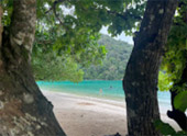 Thai Islands เกาะสุรินทร์ ระนอง ทะเลไทย 3 วัน 2 คืน