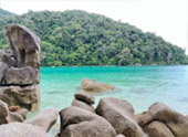 Thai Islands เกาะสุรินทร์ ระนอง ทะเลไทย 3 วัน 2 คืน