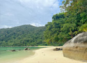 Thai Islands เกาะสุรินทร์ ระนอง ทะเลไทย 3 วัน 2 คืน