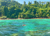 Thai Islands เกาะสุรินทร์ ระนอง ทะเลไทย 3 วัน 2 คืน