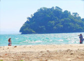 Thai Islands เกาะสุรินทร์ ระนอง ทะเลไทย 3 วัน 2 คืน