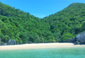 เช่าเรือส่วนตัวเที่ยวเกาะสมุย