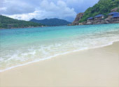 Dare to be first: เกาะสมุย เกาะพงัน เกาะเต่า 3 วัน 2 คืน