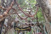 3 วัน 2 คืน เกาะสมุย เกาะพงัน Full Moon Party