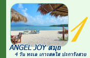 Angel Joy สมุย 4 วัน 3 คืน ทะเล เกาะสดใส ปะการังสวย