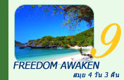 Freedom Awaken สมุย 4 วัน 3 คืน อ่างทอง เกาะเต่า สมุยทุกที่
