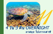 4 วัน 3 คืน Overnight มาสมุย ไปเกาะเต่าซิ