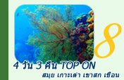 4 วัน 3 คืน Top On สมุย เกาะเต่า เขาสก เขื่อน