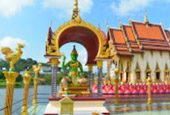 Passion Hop : 3 วัน 2 คืน เกาะแตน เกาะมัตสุ่ม พักสมุย