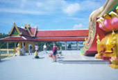 Passion Hop : 3 วัน 2 คืน เกาะแตน เกาะมัตสุ่ม พักสมุย