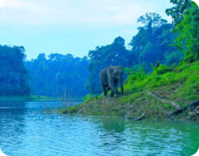 ทริปท่องเที่ยวสุราษฎร์ธานี
