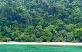 เกาะสุรินทร์ เขื่อนเชี่ยวหลาน 3 วัน 2 คืน