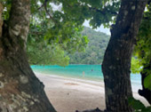เกาะสุรินทร์ เขื่อนเชี่ยวหลาน 3 วัน 2 คืน