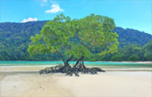 เกาะสุรินทร์ เขื่อนเชี่ยวหลาน 3 วัน 2 คืน
