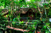 เกาะสุรินทร์ เขื่อนเชี่ยวหลาน 3 วัน 2 คืน