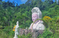 เกาะสุรินทร์ เขื่อนเชี่ยวหลาน 3 วัน 2 คืน