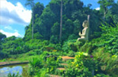 เกาะสุรินทร์ เขื่อนเชี่ยวหลาน 3 วัน 2 คืน