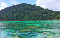 ติดเกาะสุรินทร์ : พักร้อน บนเกาะ 3 วัน 2 คืน