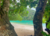ติดเกาะสุรินทร์ : พักร้อน บนเกาะ 3 วัน 2 คืน