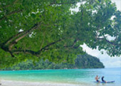 ติดเกาะสุรินทร์ : พักร้อน บนเกาะ 3 วัน 2 คืน