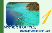 ทัวร์เต็มวัน Oh Yes, ที่เกาะสุรินทร์สวยกว่าเยอะ