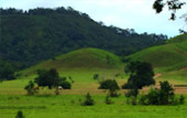 เกาะสุรินทร์ ระนอง ทะเลไทย 3 วัน 2 คืน
