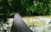 เกาะสุรินทร์ ระนอง ทะเลไทย 3 วัน 2 คืน