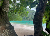 เกาะสุรินทร์ ระนอง ทะเลไทย 3 วัน 2 คืน