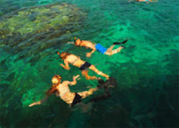 ทัวร์เต็มวัน Oh Yes, ที่เกาะสุรินทร์สวยกว่าเยอะ