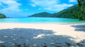 ทัวร์เต็มวัน Oh Yes, ที่เกาะสุรินทร์สวยกว่าเยอะ