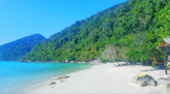 ทัวร์เต็มวัน Oh Yes, ที่เกาะสุรินทร์สวยกว่าเยอะ