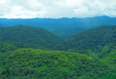 Exotic Trail อุ้มผาง - ทีลอซู 4 วัน 3 คืน